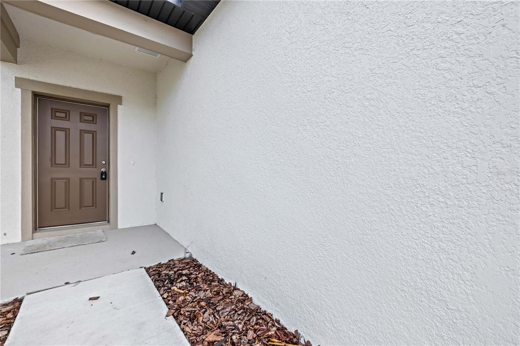 A brown front door is set into a white stucco wall beside a concrete walkway — 35605 BUTTONWEED TRAIL, ZEPHYRHILLS, FL