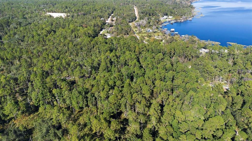 124 EASY STREET, FLORAHOME, FL — photo 3 of 4