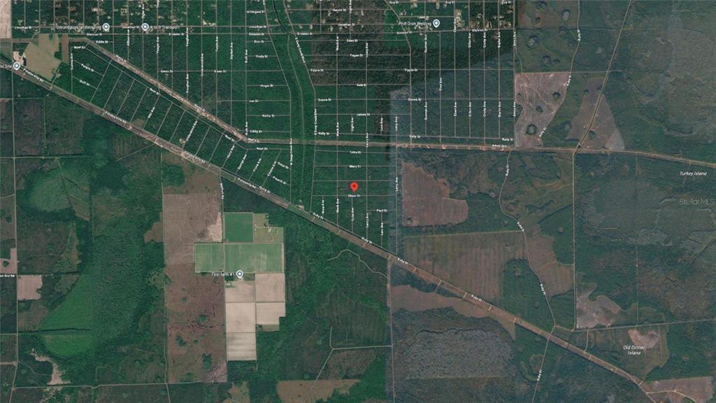This is an aerial map view showing a red pin marking a vacant land parcel — 21-10-28-2775-00040-1020 OLSON STREET, HASTINGS, FL