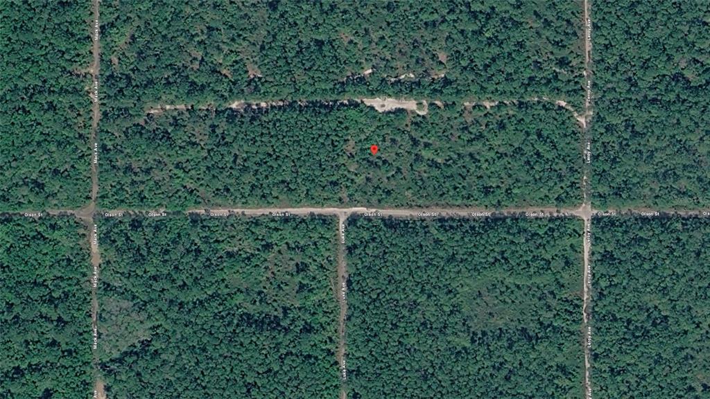 This is a satellite map view of a wooded, undeveloped rectangular lot — 21-10-28-2775-00040-1020 OLSON STREET, HASTINGS, FL