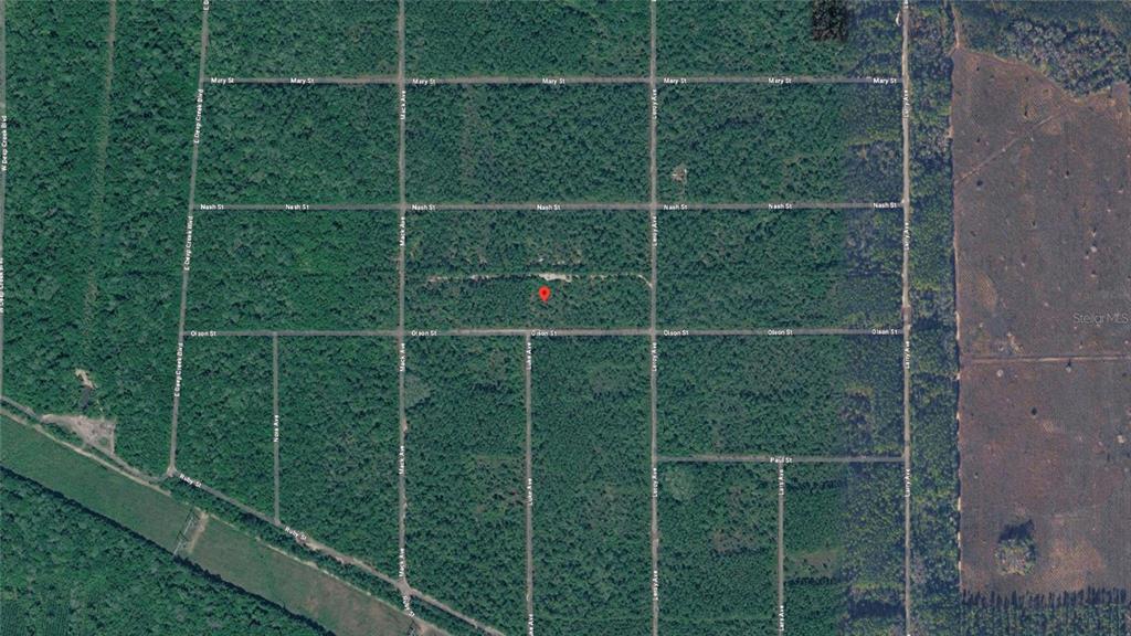 This is an aerial map view of a wooded area with a grid of streets — 21-10-28-2775-00040-1020 OLSON STREET, HASTINGS, FL
