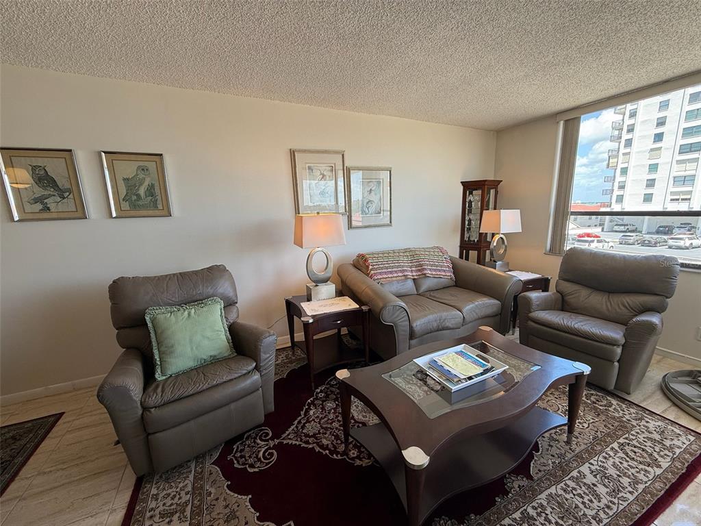 A living room features leather seating, a coffee table, and a large window with city views — 6279 SUN BOULEVARD UNIT 403, ST PETERSBURG, FL