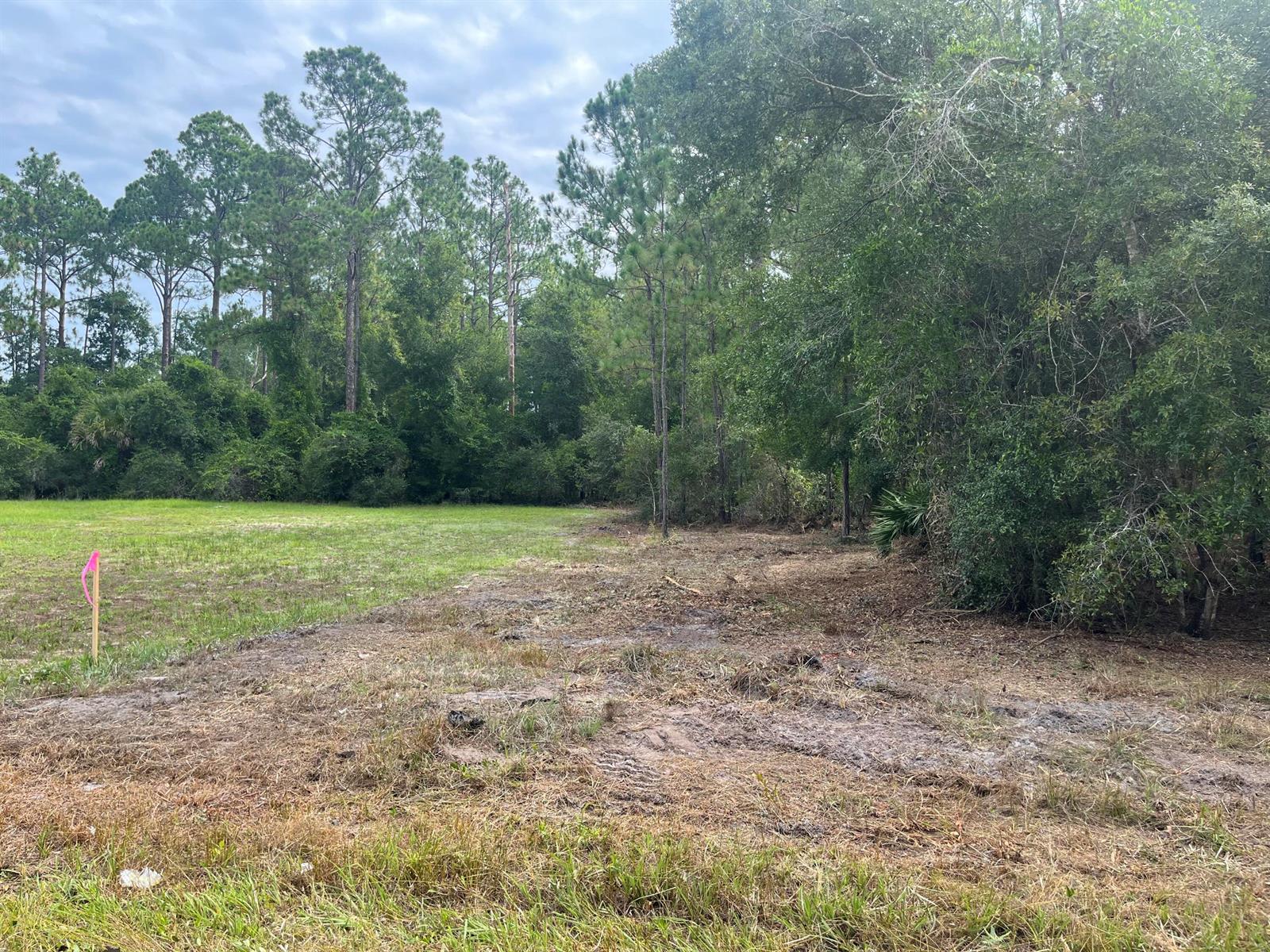 A partially cleared, grassy lot bordered by dense trees and a pink survey marker — 122 Glenside Street, FL 32139, FL