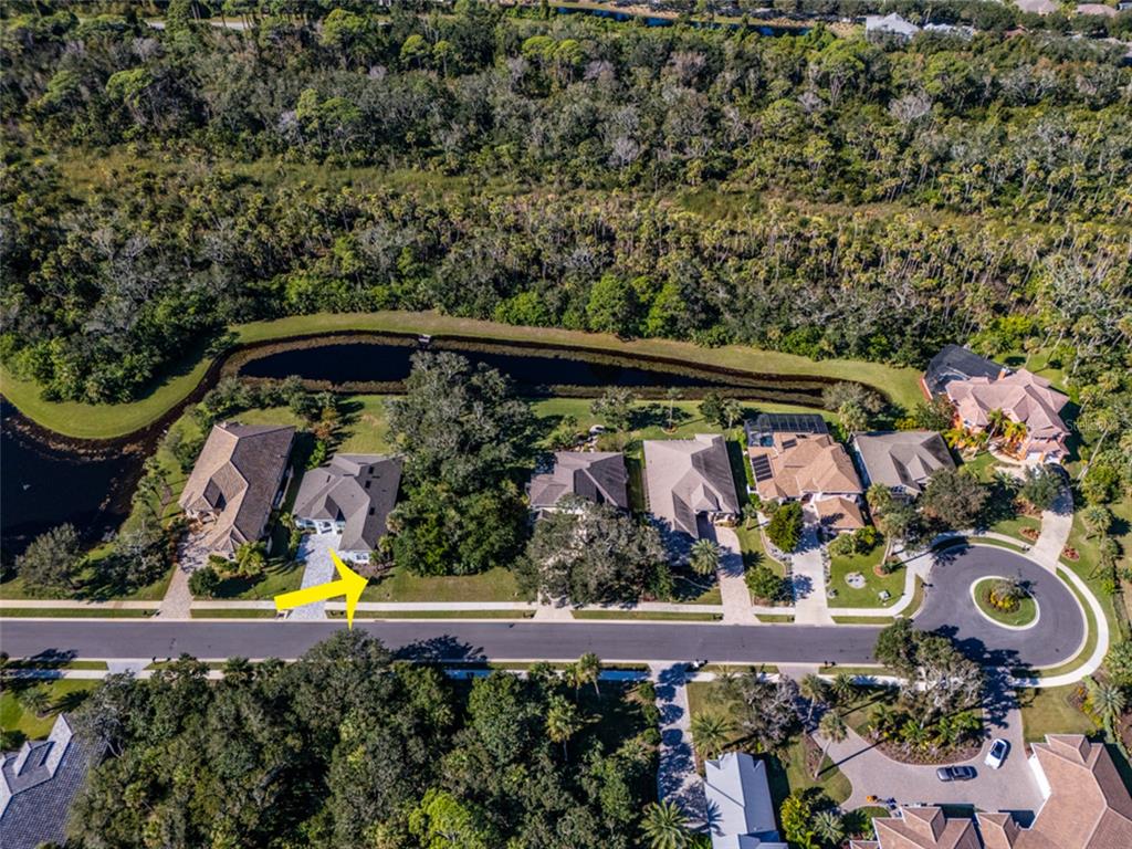 An aerial view shows a suburban neighborhood with houses, a pond, and dense surrounding trees — 63 N RIVERWALK DRIVE, PALM COAST, FL