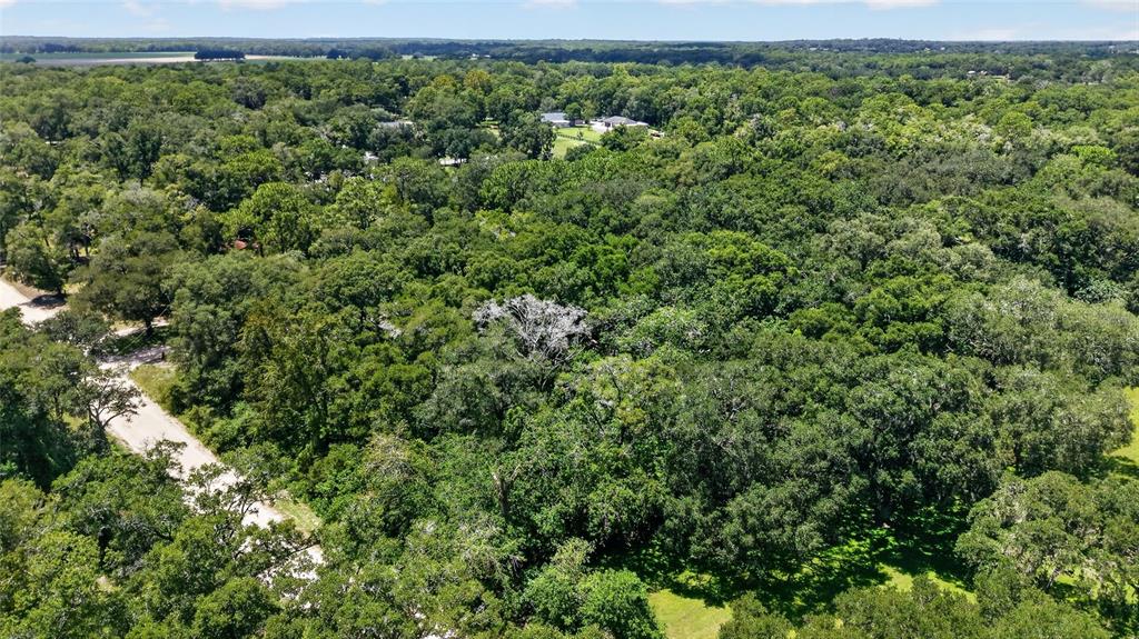 An aerial view shows a dense forest with a dirt road winding through the trees — 8379 SW 41ST PLACE ROAD, OCALA, FL