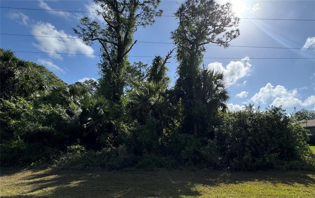 A grassy foreground leads to a dense cluster of tall trees and thick vegetation — 453 LAMPION AVENUE S, LEHIGH ACRES, FL