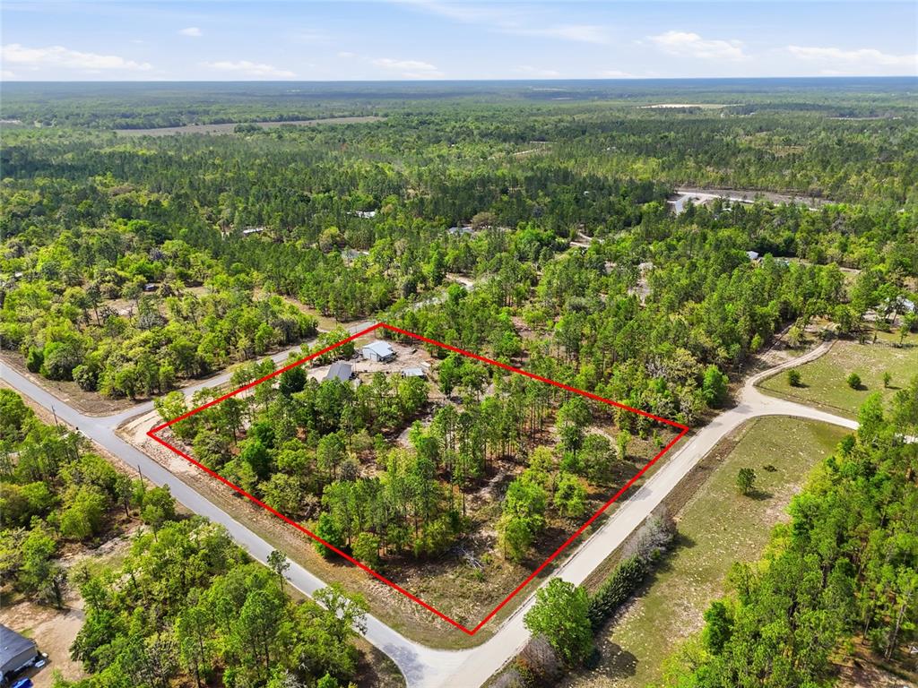 An aerial view shows a wooded lot outlined in red with a small building — 2640 NE 74TH AVENUE, HIGH SPRINGS, FL