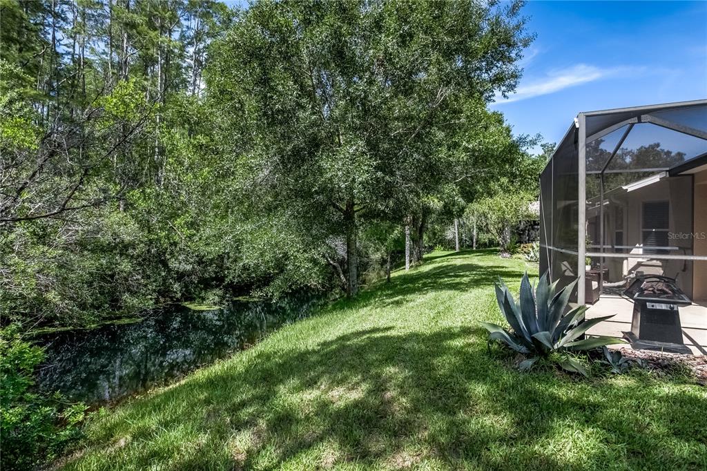 A grassy backyard slopes down to a wooded pond next to a screened-in patio — 7235 CLEOPATRA DRIVE, LAND O LAKES, FL