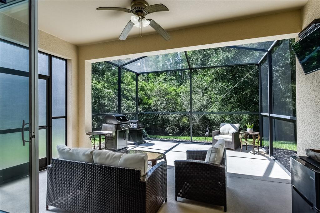 A screened-in patio features wicker furniture, a grill, and a ceiling fan overlooking wooded scenery — 7235 CLEOPATRA DRIVE, LAND O LAKES, FL