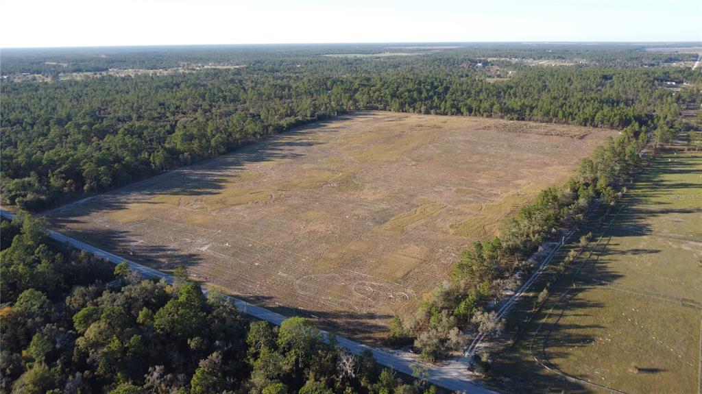 An aerial view shows a large, cleared rectangular plot of land surrounded by dense forest — 14231 SE 80TH STREET, MORRISTON, FL