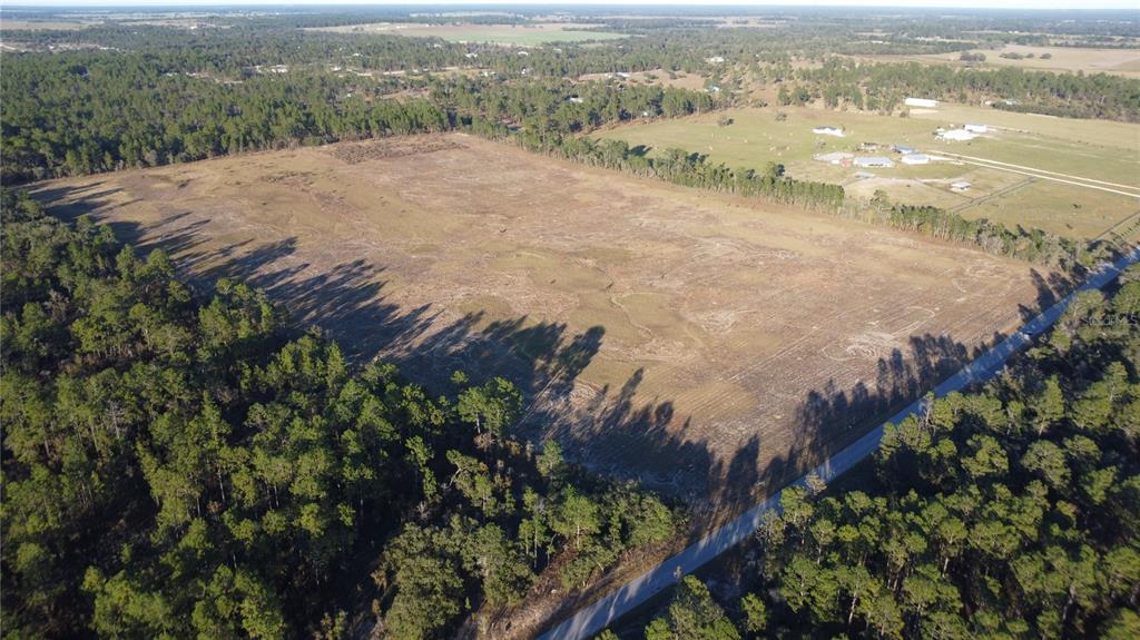 An aerial view shows a large, cleared rectangular field surrounded by dense pine forests — 14231 SE 80TH STREET, MORRISTON, FL