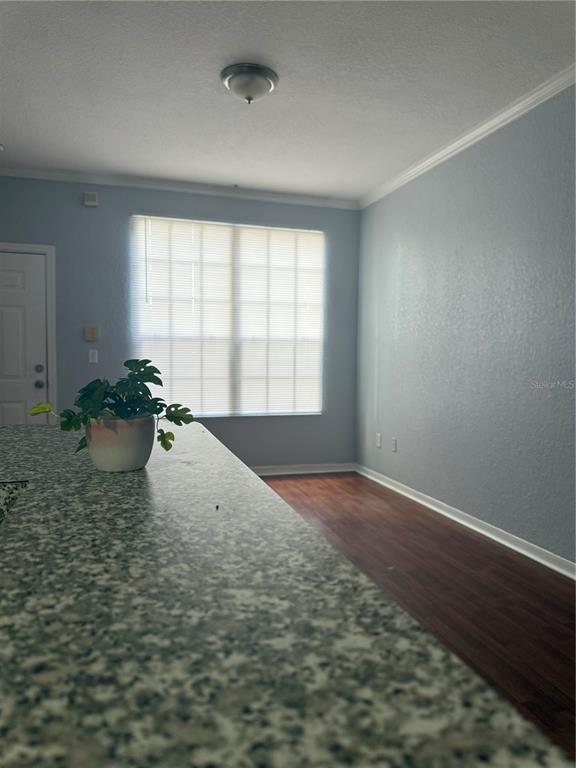 A view from a kitchen counter looking toward a living area with light blue walls — 6384 RALEIGH STREET UNIT 2203, ORLANDO, FL