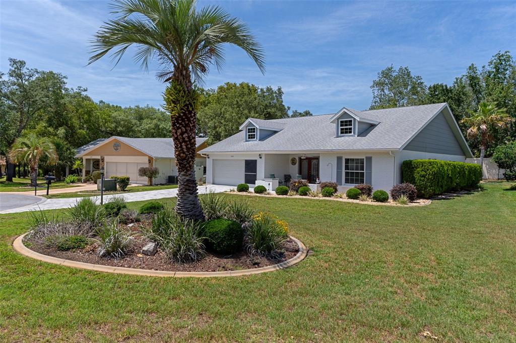 A white single-story house with a gray roof and a palm tree in the yard — 2643 ROYAL RIDGE DRIVE, SPRING HILL, FL