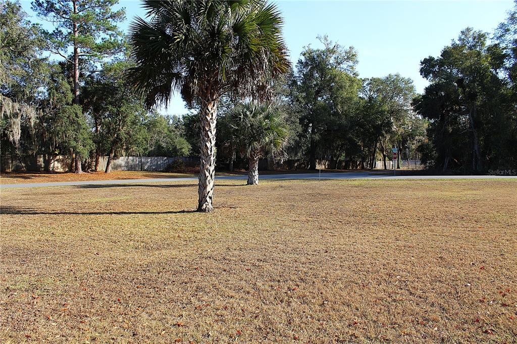 NE 6TH PLACE, SILVER SPRINGS, FL — photo 2 of 6