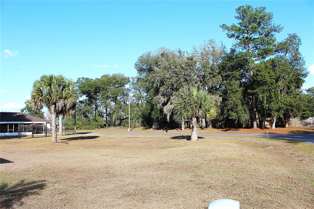 NE 6TH PLACE, SILVER SPRINGS, FL — photo 3 of 6