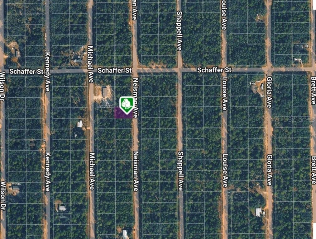 This is an aerial map showing a grid of undeveloped wooded lots and residential streets — LOT 33 NEISMAN AVENUE, INTERLACHEN, FL