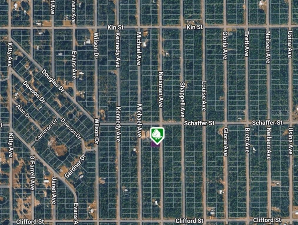 This is an aerial map showing a grid of streets and undeveloped residential lots — LOT 33 NEISMAN AVENUE, INTERLACHEN, FL