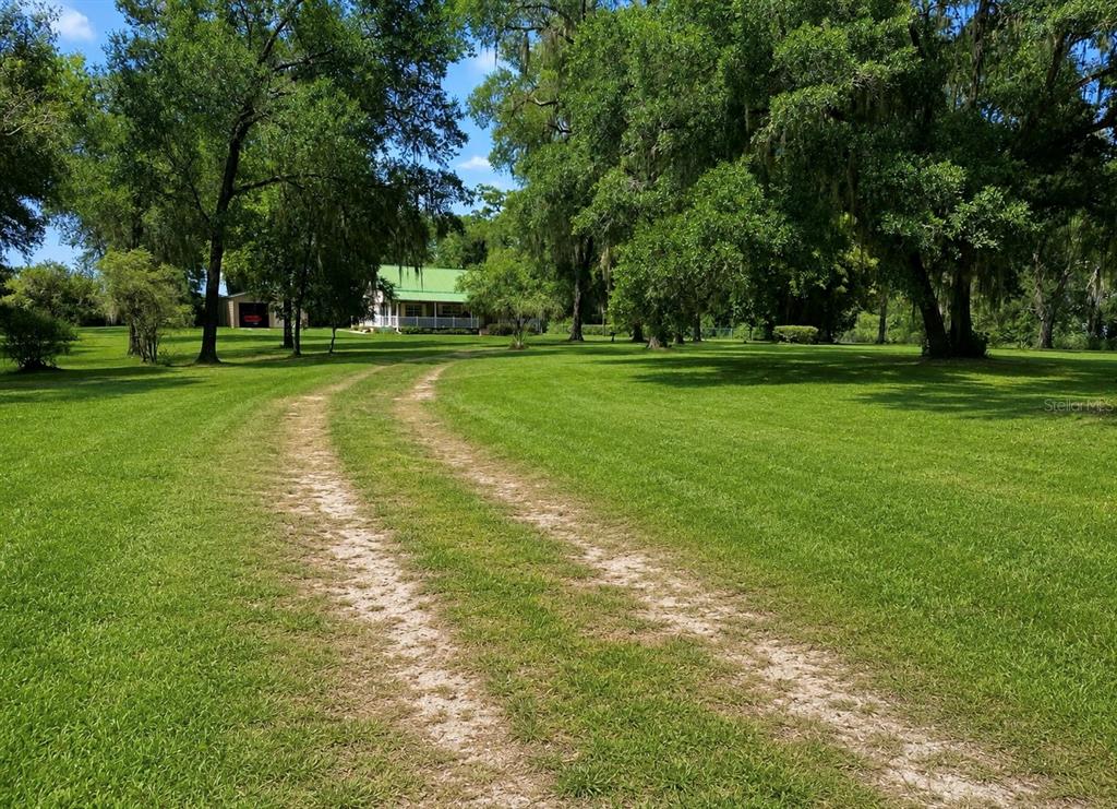 A dirt driveway leads through a grassy yard toward a house with a green roof — 18848 SW 60TH STREET, DUNNELLON, FL