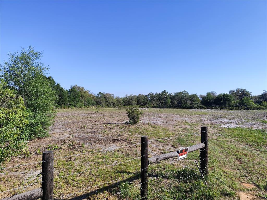 A fenced, cleared lot features sparse vegetation under a clear blue sky — 4535 SARVER AVENUE, LAKE WALES, FL