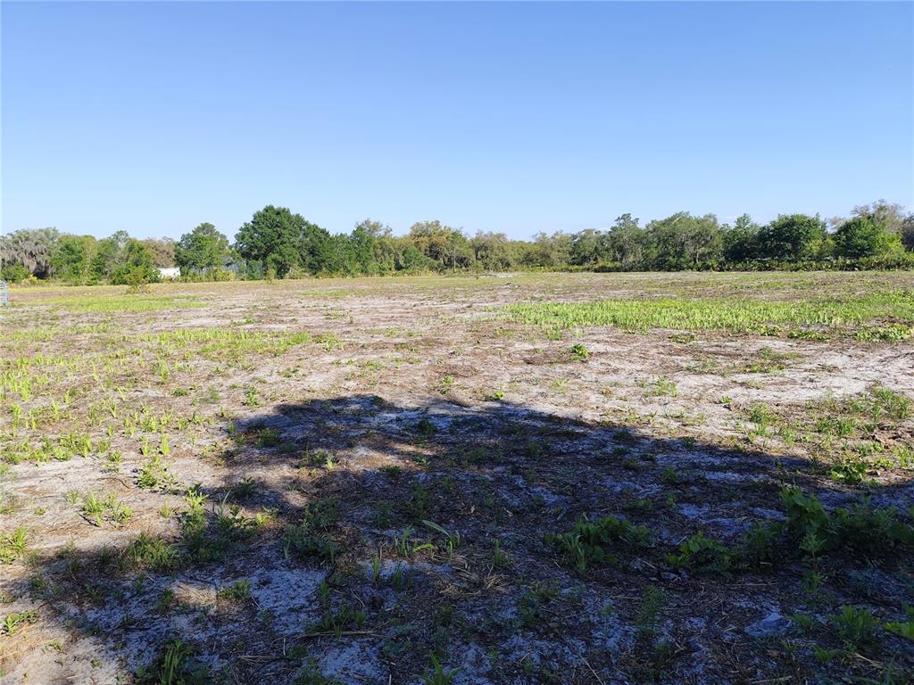 A wide, flat, sandy lot with sparse green vegetation under a clear blue sky — 4535 SARVER AVENUE, LAKE WALES, FL