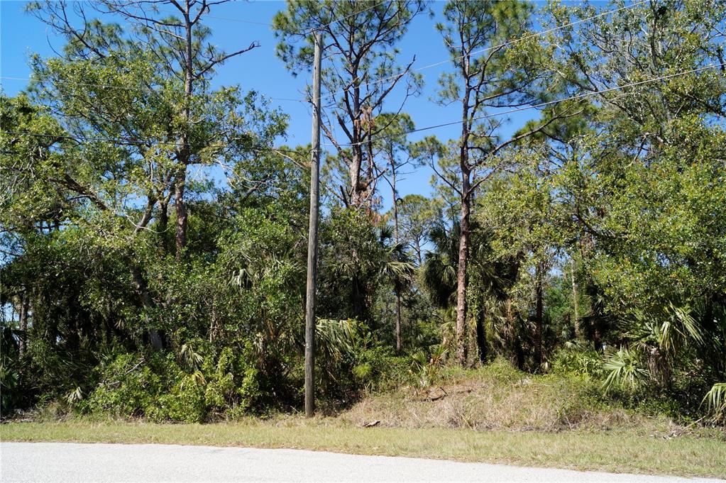 A utility pole stands in front of a wooded lot along a paved road — 8370 CHORLEY AVENUE, NORTH PORT, FL