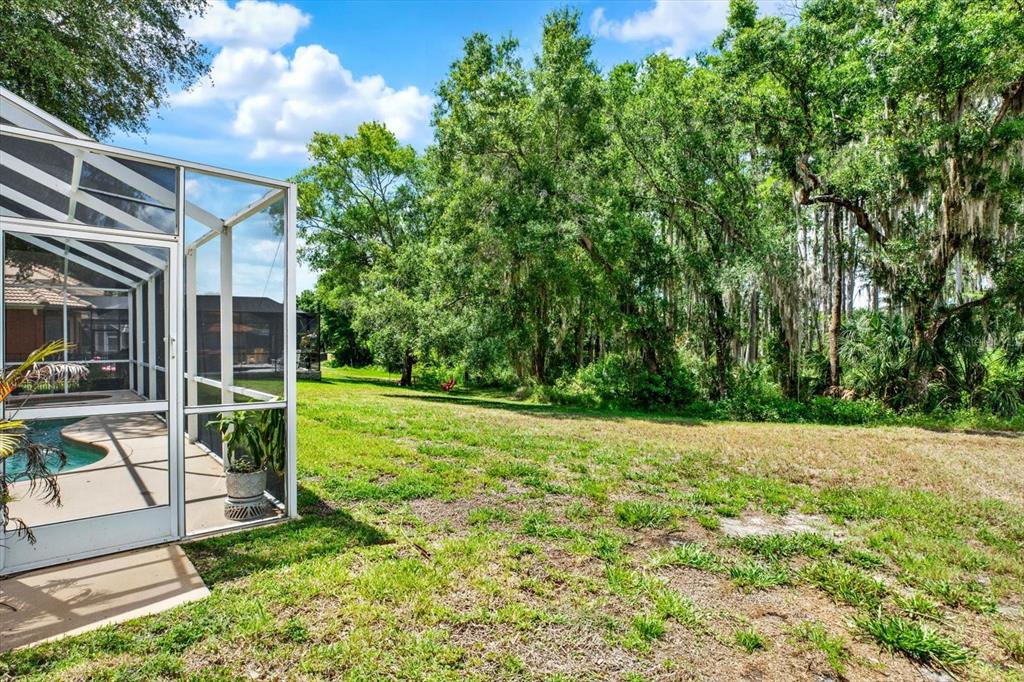 A screened-in pool enclosure overlooks a grassy backyard bordered by a dense wooded area — 9137 CREEDMOOR LANE, NEW PORT RICHEY, FL