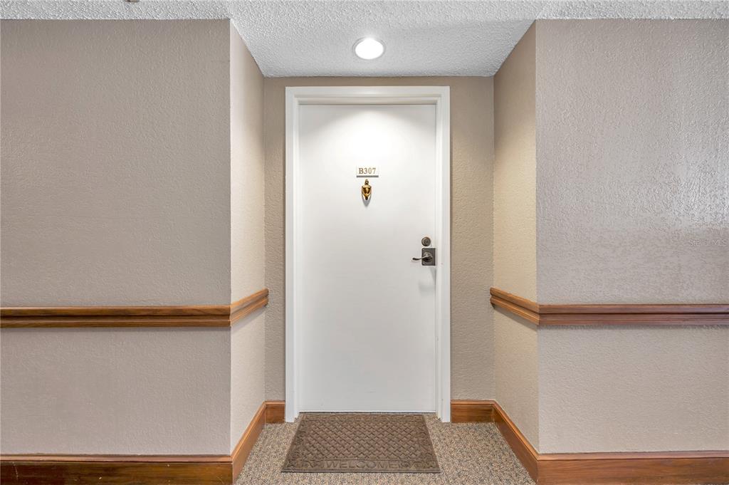 A white apartment door labeled B307 is centered between beige walls with wooden chair rails — 2333 FEATHER SOUND DRIVE UNIT B307, CLEARWATER, FL