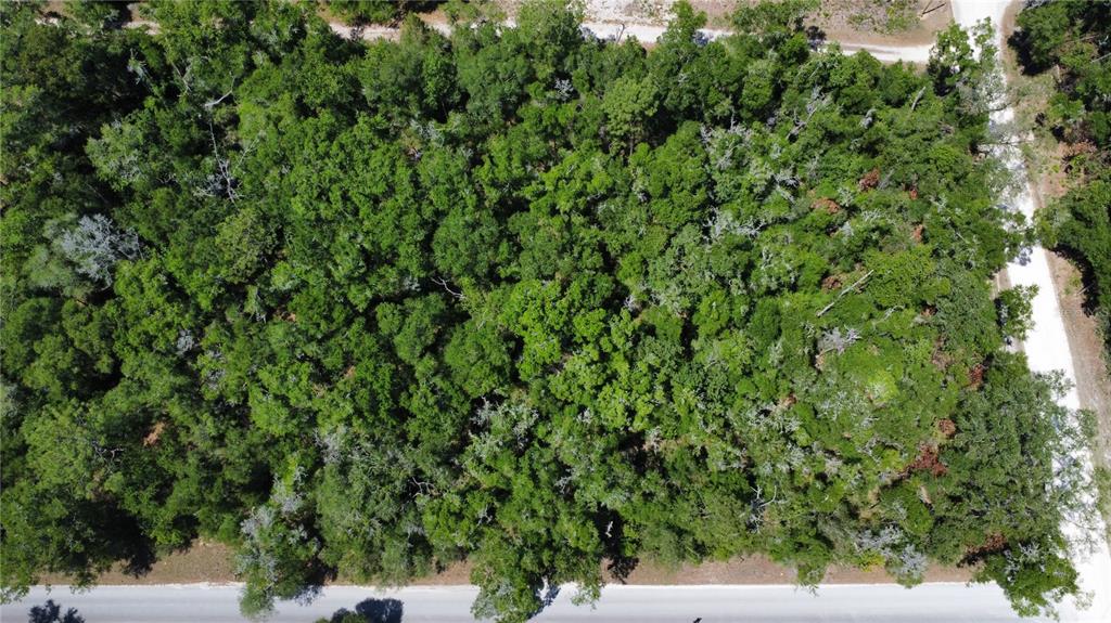 An aerial view shows a densely wooded, rectangular plot of land bordered by two roads — 00 NE 7TH PLACE, WILLISTON, FL