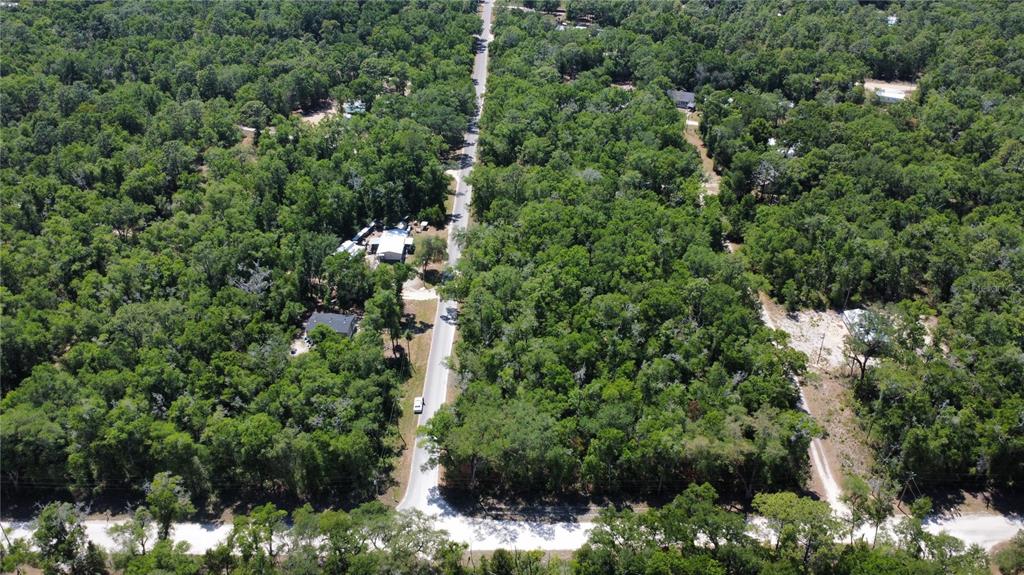 An aerial view shows a paved road running through a dense, wooded residential area — 00 NE 7TH PLACE, WILLISTON, FL