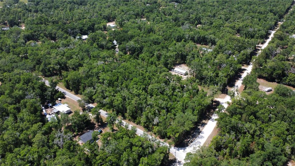 An aerial view shows several houses nestled within a dense, wooded residential area — 00 NE 7TH PLACE, WILLISTON, FL