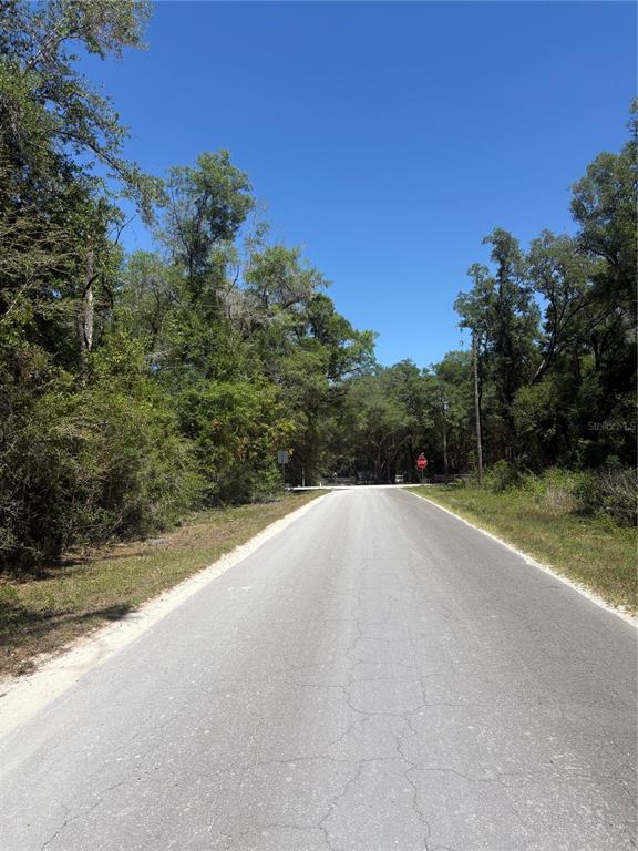 A paved road leads toward a stop sign surrounded by dense trees and vegetation — 00 NE 7TH PLACE, WILLISTON, FL