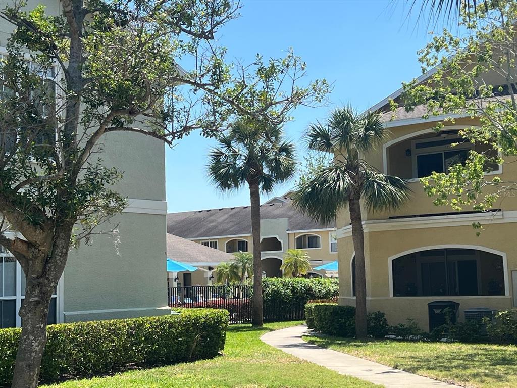 A paved walkway leads between two multi-story apartment buildings with palm trees and landscaping — 1234 S MISSOURI AVENUE UNIT 316, CLEARWATER, FL