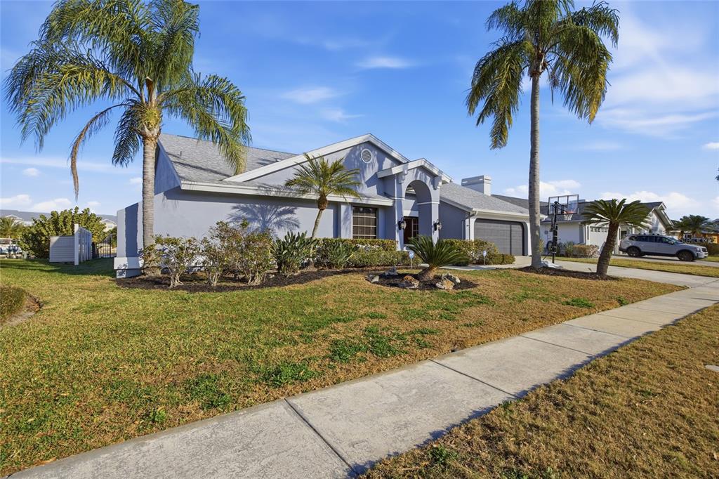 A single-story gray house with a palm tree-lined front yard and a concrete driveway — 4157 SALTWATER BOULEVARD, TAMPA, FL