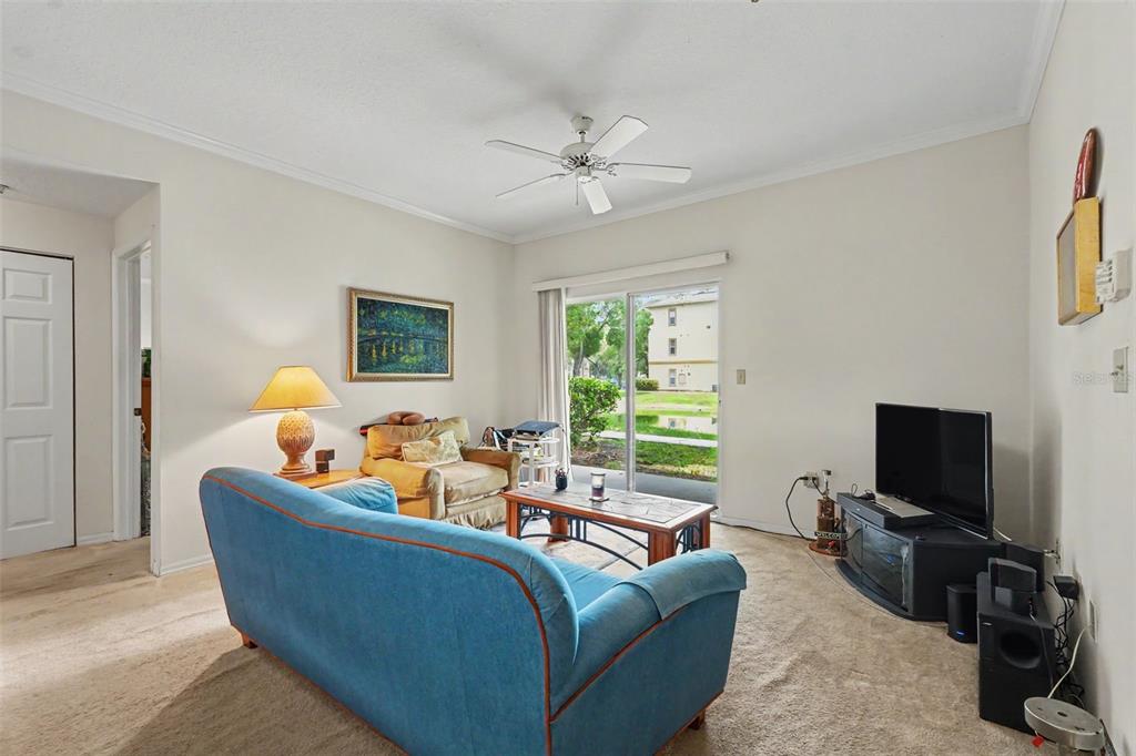 A living room features a blue sofa, beige carpet, a ceiling fan, and sliding glass doors — 5602 PINNACLE HEIGHTS CIRCLE UNIT 108, TAMPA, FL