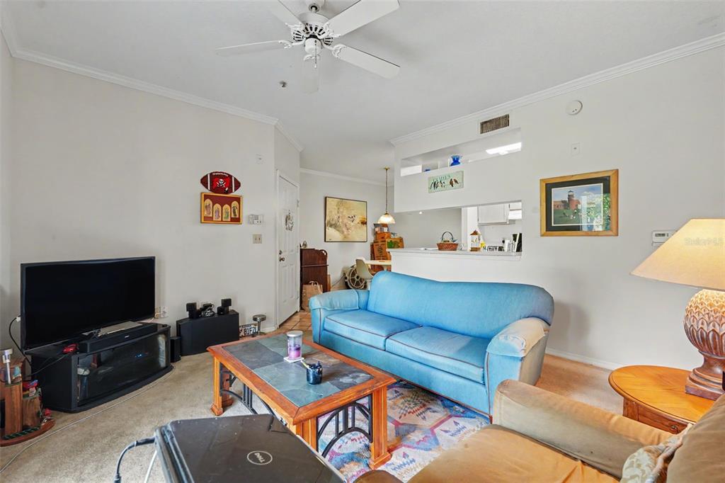 A living room features a blue sofa, a coffee table, and a television on a stand — 5602 PINNACLE HEIGHTS CIRCLE UNIT 108, TAMPA, FL