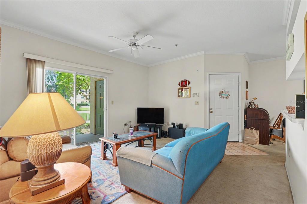 A living room features a blue sofa, a coffee table, and a sliding glass door — 5602 PINNACLE HEIGHTS CIRCLE UNIT 108, TAMPA, FL
