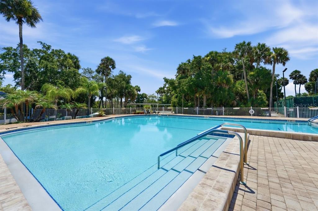 An outdoor swimming pool with steps and a metal handrail surrounded by palm trees — 304 PORTSIDE LANE, EDGEWATER, FL