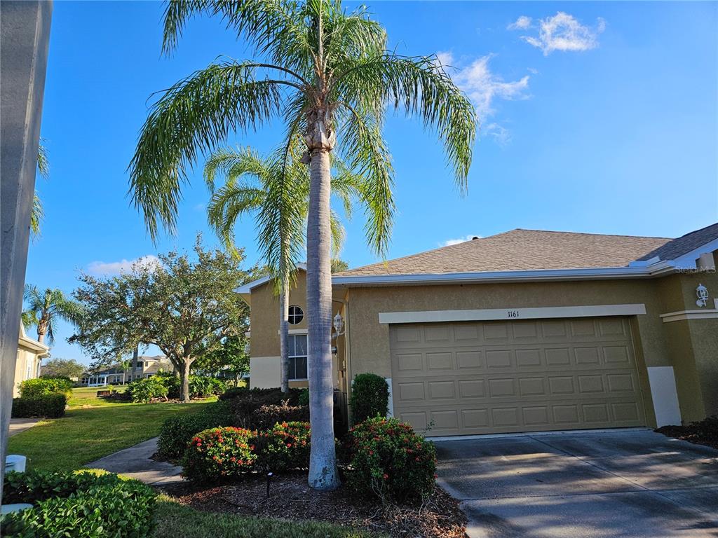 A palm tree stands in front of a single-story house with a tan garage door — 1161 JAMESON GREENS DRIVE, SUN CITY CENTER, FL