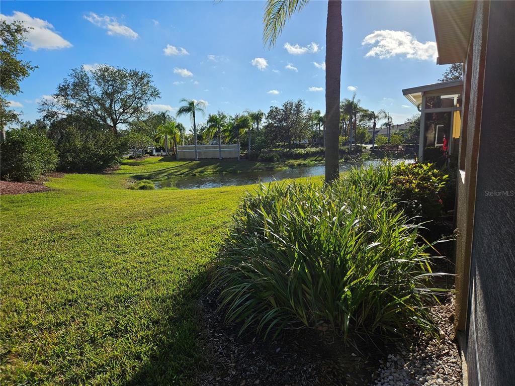 A grassy backyard overlooks a small pond with palm trees and a wooden fence — 1161 JAMESON GREENS DRIVE, SUN CITY CENTER, FL