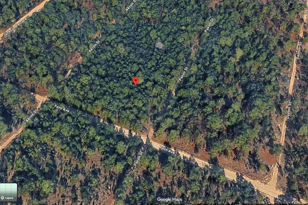 This is a satellite map view showing a wooded lot with a red location pin — 1802 FERN AVENUE, INTERLACHEN, FL