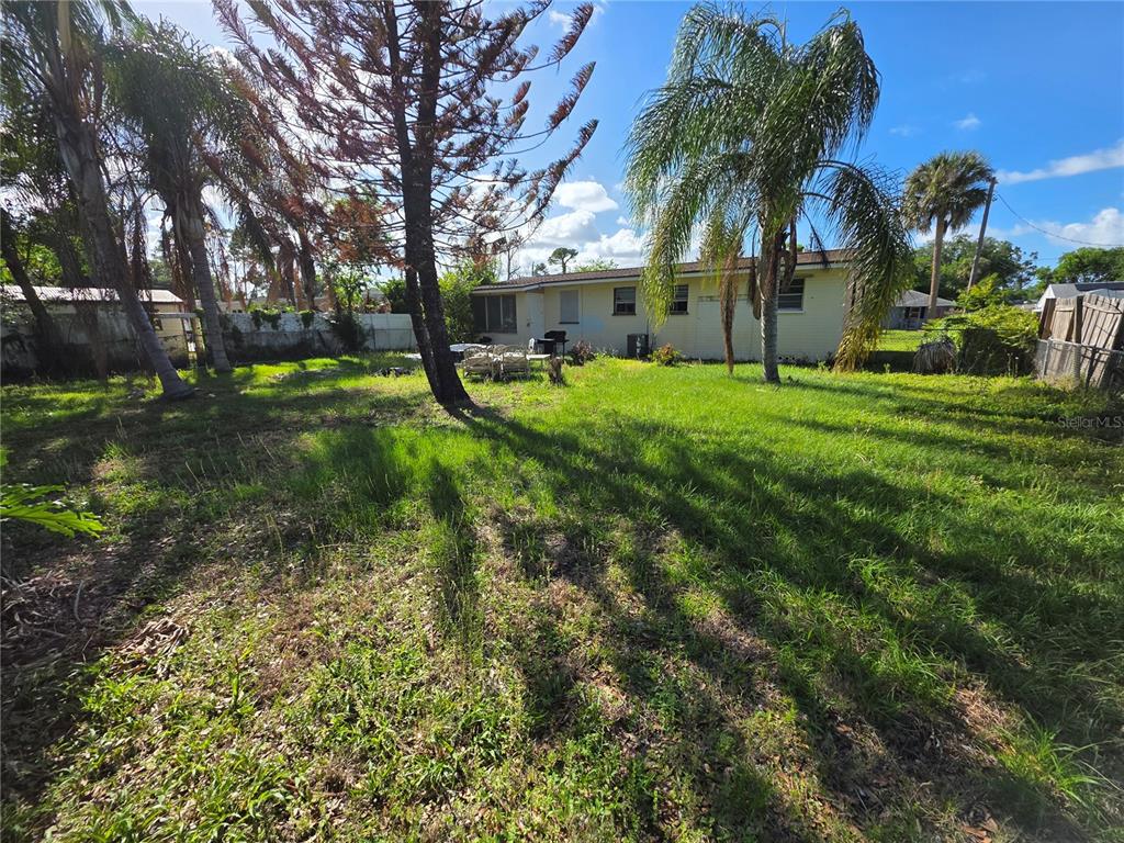 A grassy backyard features several palm trees and a light-colored house in the background — 563 MARTHA DRIVE, HOLLY HILL, FL