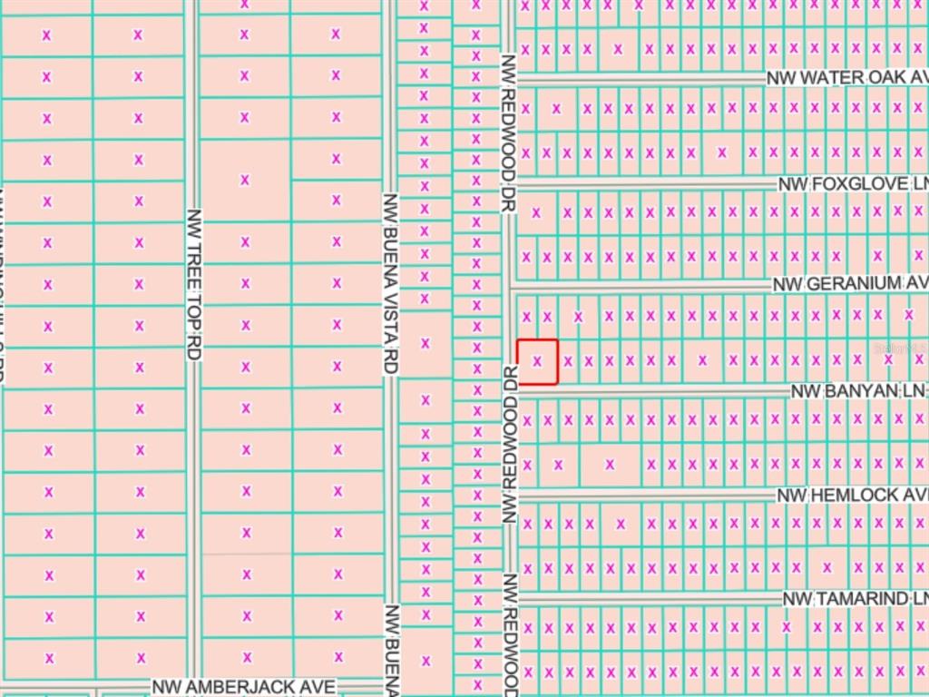 This is a map showing a grid of residential lots with a highlighted property — LOTS 65 & 66 NW BANYAN LANE, DUNNELLON, FL