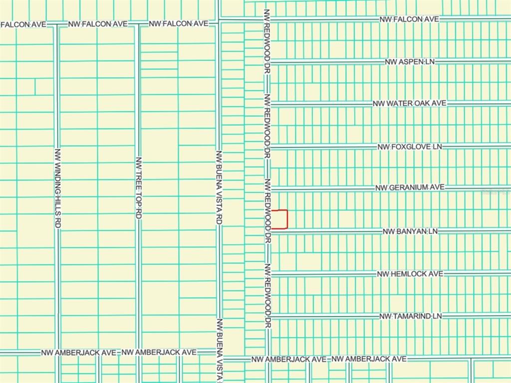 This is a map showing a residential lot highlighted in red within a grid layout — LOTS 65 & 66 NW BANYAN LANE, DUNNELLON, FL