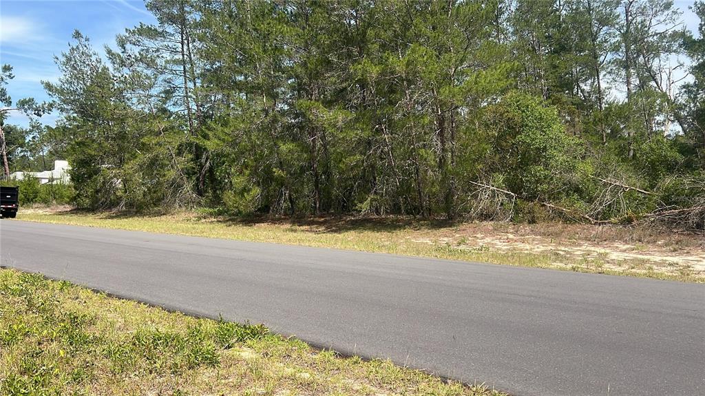A paved road runs alongside a wooded lot with scattered brush and pine trees — TBD MARION OAKS GOLF WAY, OCALA, FL