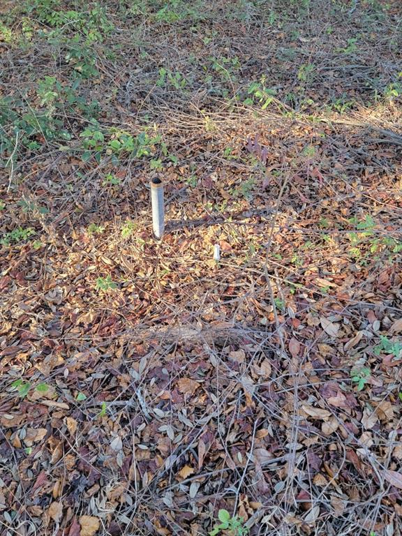 A metal pipe protrudes from the ground in a wooded area covered with dry leaves — 107 LAKEVIEW WAY, INTERLACHEN, FL