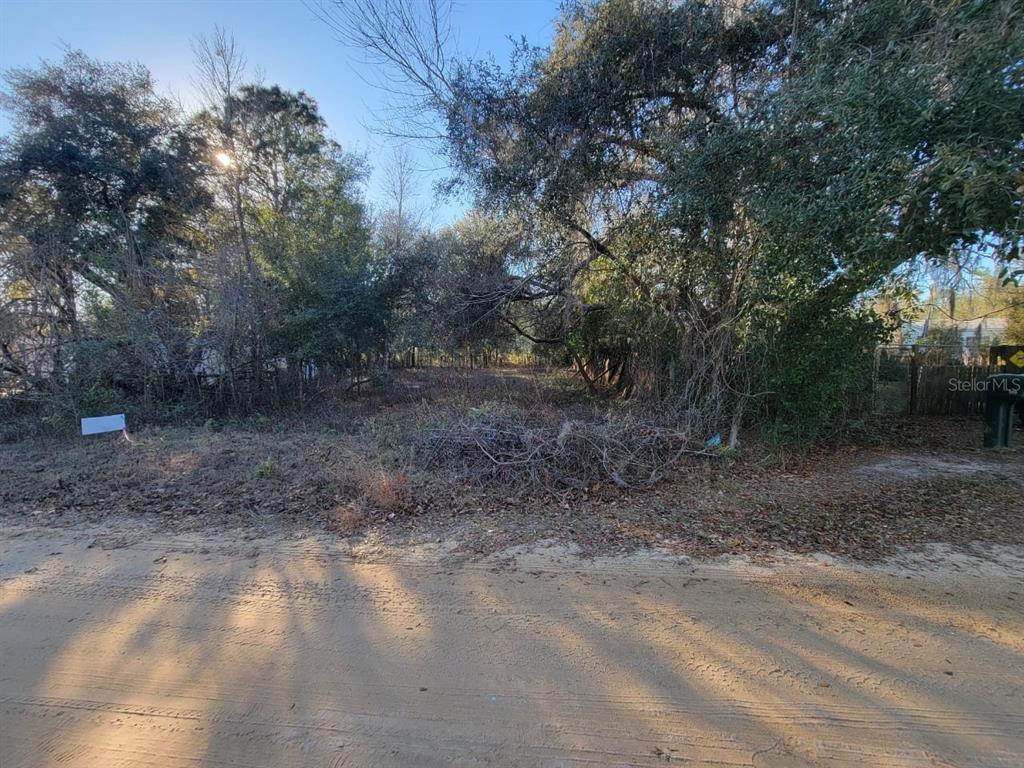A dirt road leads to a wooded, undeveloped residential lot with mature trees — 107 LAKEVIEW WAY, INTERLACHEN, FL