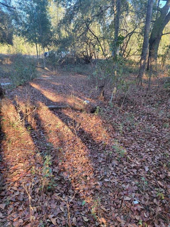 A wooded lot covered in fallen leaves with a small concrete structure in the center — 107 LAKEVIEW WAY, INTERLACHEN, FL
