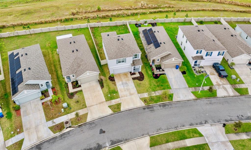 An aerial view shows a row of suburban houses with driveways and solar panels — 30845 PENNY SURF LOOP, WESLEY CHAPEL, FL