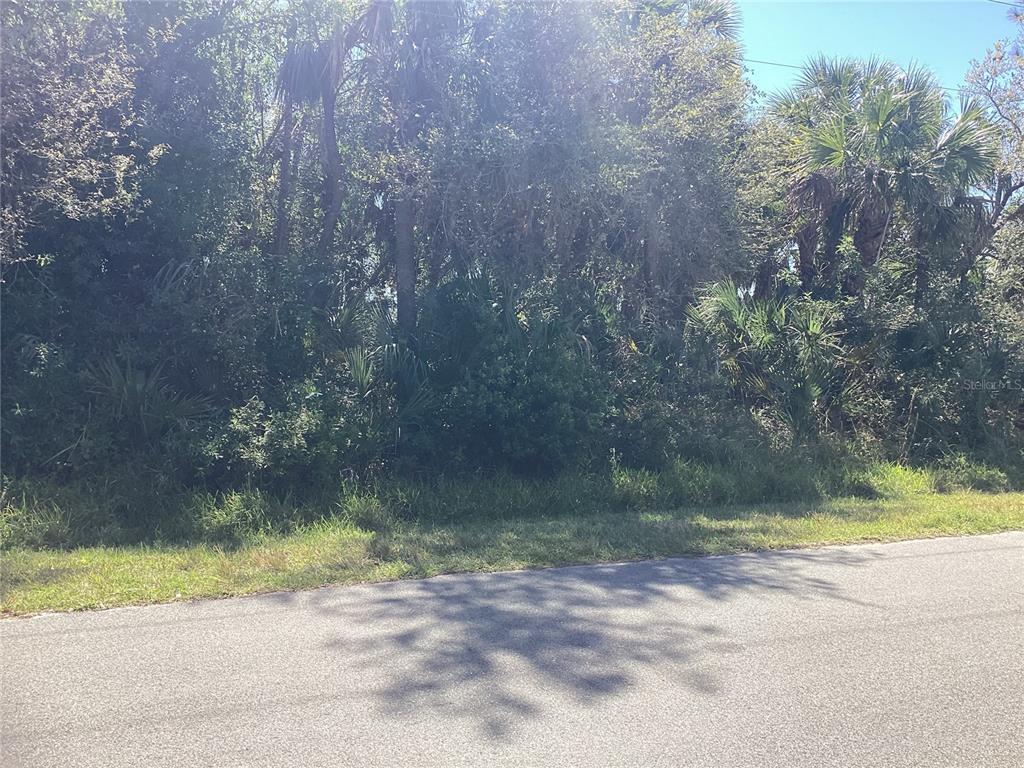 A view of a wooded, undeveloped residential lot from the edge of an asphalt road — BELLEVILLE TERRACE, NORTH PORT, FL