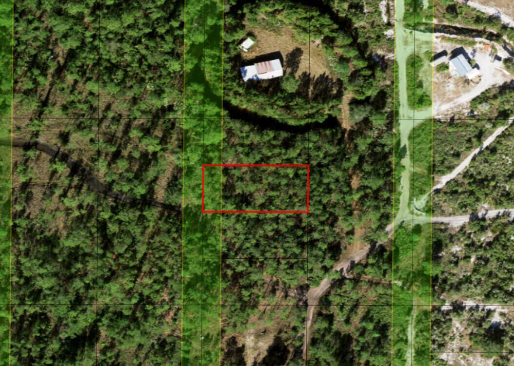 An aerial view shows a rectangular plot of land outlined in red within a forest — 0 Holopaw Groves Road, FL 34772, FL